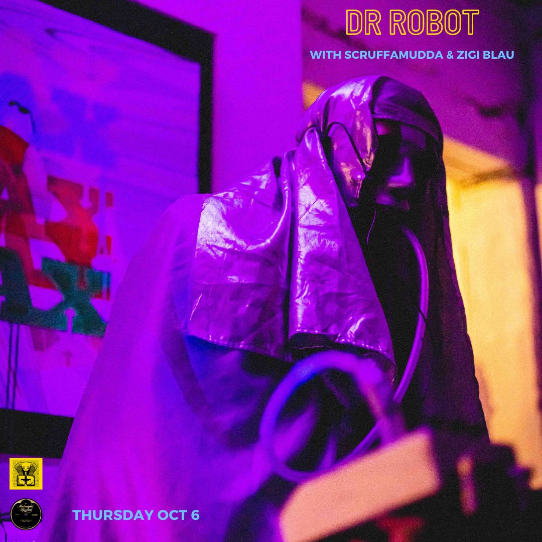 Dr Robot